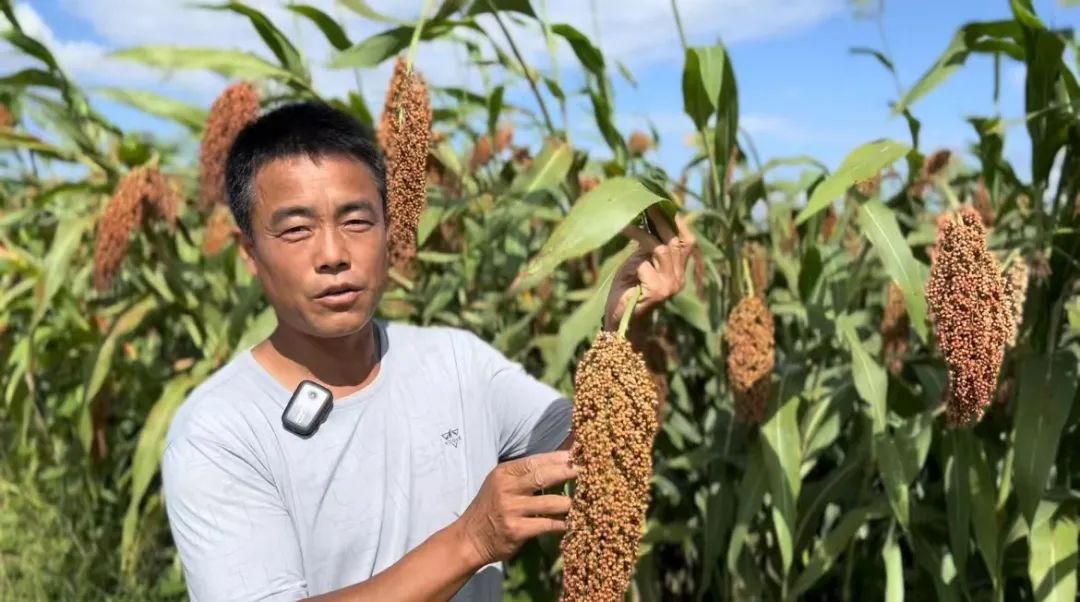 bbg娱乐安全吗